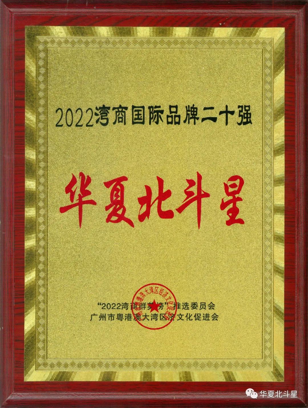 1680849959456481.jpg